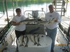 (07/02/2014) - Nice Striped Bass